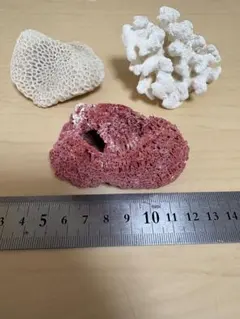 ji-ko様 リクエスト 2点 まとめ商品