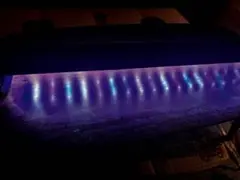 2026年最新】グラッシー レグナの人気アイテム - メルカリ