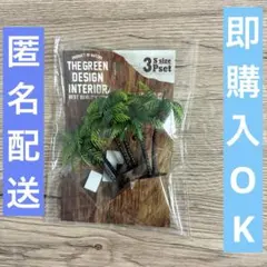 セリア ヤシの木 S ミニチュア