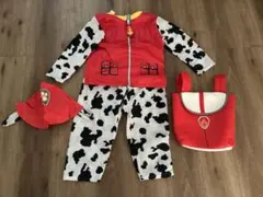 Item thumbnail for item bd8bed49-43e0-4ae0-8b6e-bdf29973db56