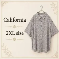 シャツ 柄シャツ 半袖 オーバーサイズ 総柄 ラグラン袖 メンズ 2XL レトロ