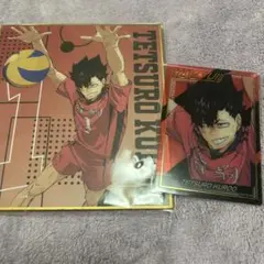 ハイキュー　ゴミ捨て場の決戦 音駒　黒尾鉄朗　ミニ色紙　カード