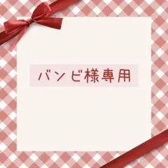 バンビ様 リクエスト 2点 まとめ商品