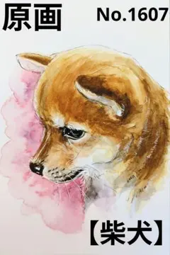 【柴犬】手描きイラスト 原画 《1607》
