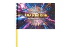 EXILE LIVE 2026　THE REASON フラッグ　2本