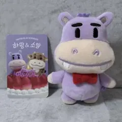 N.Flying myam 白 ぬいぐるみ 未開封 トレカ付き - メルカリ