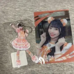 iLiFE 小熊まむ 実写アクキー お守り 缶バッジセット iLiFE! 小熊まむ アクキーお守り缶バッジセット - メルカリ