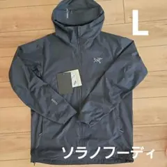 2025年最新】アークテリクス ソラノフーディ lの人気アイテム