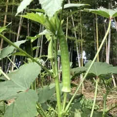 happypiper様 リクエスト 5点 まとめ商品