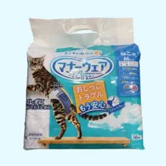 Item thumbnail for item 3c164446-0aff-4a64-8b12-22526cf05d4c