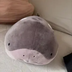 ドオー　ぬいぐるみ　ポケモン