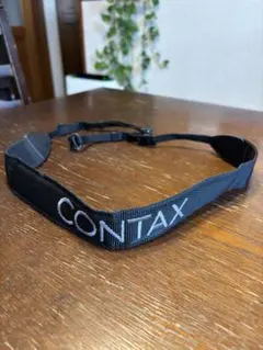 Item thumbnail for item 2a148181-02de-4083-909a-10344e4afce5