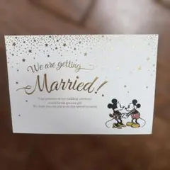 ミッキー・ミニー 結婚式招待状　25枚
