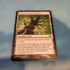 FOIL すべてを護るもの、母聖樹 MTG すべてを護るもの、母聖樹/Boseiju, Who Shelters All》[CHK] 土地R