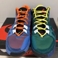 NIKE ZOOM FREAK 1 “MULTI COLOR”