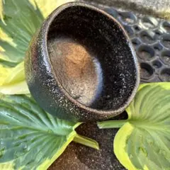 陶器 抹茶碗 黒釉 斑点 渦模様 銘ありのサムネイル