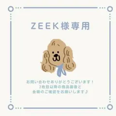 ZEEK様 リクエスト 3点 まとめ商品