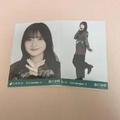 Item thumbnail for item 1787695c-bddb-418c-8a26-7fde2b4e0978