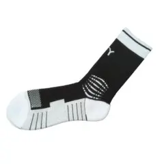 Item thumbnail for item 8c7592a2-bcbc-40fd-b4ed-f0e3ffb37b08