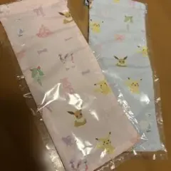 ポケモン×チャコット 半メッシュ巾着 ｜新品2セット