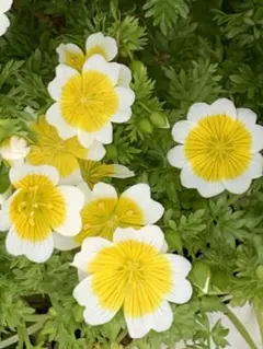 あや ◡̈断捨離中様 リクエスト 2点 まとめ商品