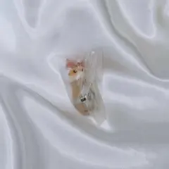 仮面にゃいだー　電王