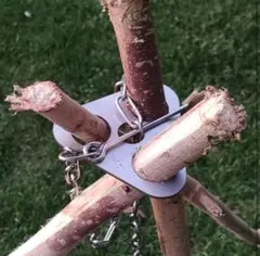 Item thumbnail for item f9189ff2-45ec-470c-a0a9-d87b16e9ded8