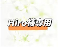 Hiro様専用ページ