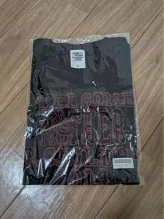 Mr.Children 21周年祭ファンクラブツアーライブTシャツ Mサイズのサムネイル