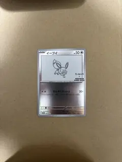 暁*様 美品 nagaba イーブイ プロモ