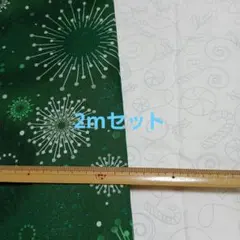 クリスマス柄生地2mセット5