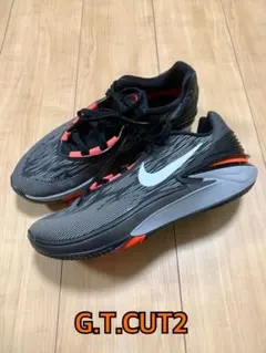 Nike Air Zoom G.T.Cut2 レアカラー 2025年最新】gt cut 27の人気アイテム - メルカリ