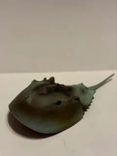 ネイチャーテクニカラー 海洋Ⅰ オニイトマキエイ マンタ - メルカリ