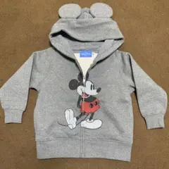 パーカー ディズニーリゾート