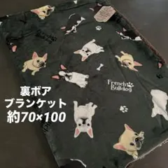 ★ラスト１点★ 新品　フレンチブルドッグ　フレブル　ボアブランケット　グリーン