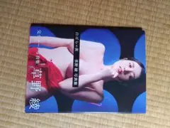 白はらの夜 藤野綾 写真集
