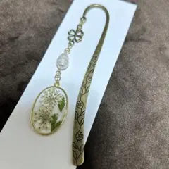 Item thumbnail for item c7ba4ba3-5d22-42ff-8f11-a561e42d4967