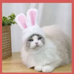 ⭐️匿名配送⭐️ペット 帽子 2個セット うさ耳 猫 犬 白 水色