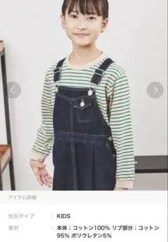 coen レトロボーダーリンガーTシャツ 長袖