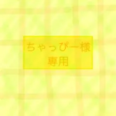 ちゃっぴー様専用