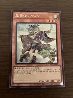 2026年最新】風霊使いウィンの人気アイテム - メルカリ