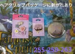 ヘアクリップ　カンバッジ　ピンバッジ　ラプンツェル　ファンタジースプリングス