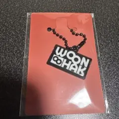 boynextdoor THE ACTION weverse特典　ウナク