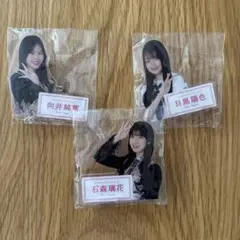 櫻坂46 石森璃花 向井純葉 目黒陽色 アクリルピンバッジ