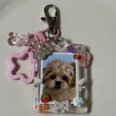 ぽぽとしゅがみるキーホルダー
