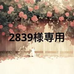 2839 様　専用