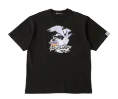 Pokemon ポケモントレーナーズ N レシラム クリアファイル - メルカリ