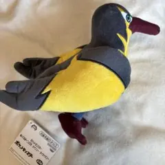 ポケモン　タイカイデンぬいぐるみ