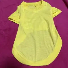 【美品】犬服袖付き　イエロー　（4号）のサムネイル