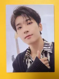 【公式】ウォヌ トレカ DREAM POPUP seventeen セブチ